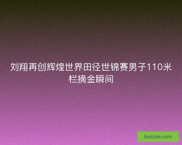 刘翔再创辉煌世界田径世锦赛男子110米栏摘金瞬间 刘翔再创辉煌世界田径世锦赛男子110米栏摘金瞬间